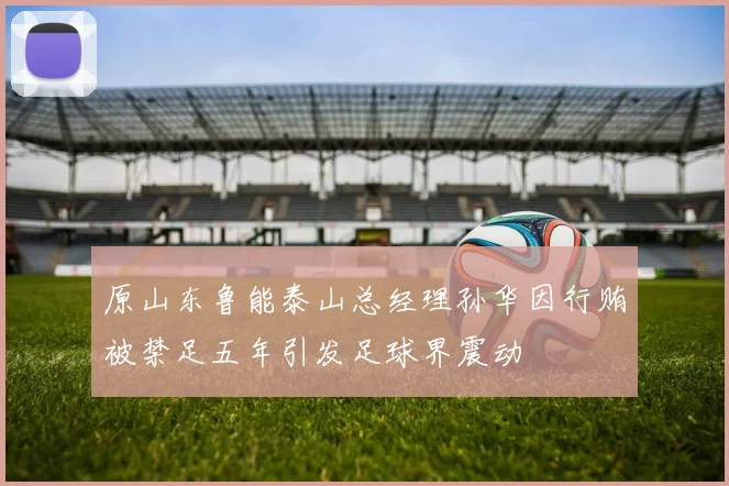 原山东鲁能泰山总经理孙华因行贿被禁足五年引发足球界震动